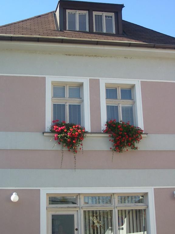 Penzion Orchidea Opočno Extérieur photo