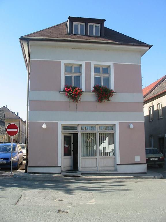 Penzion Orchidea Opočno Extérieur photo