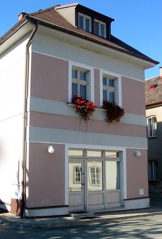 Penzion Orchidea Opočno Extérieur photo