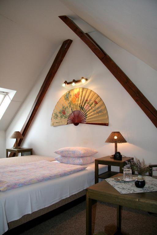 Penzion Orchidea Opočno Extérieur photo